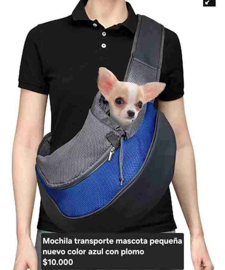 Mochila transporte mascota azul - 1