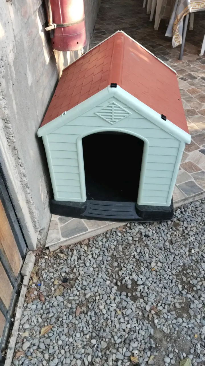 Caseta para perro plástica