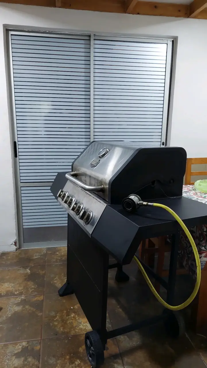 Parrilla a gas Expert Grill - 2