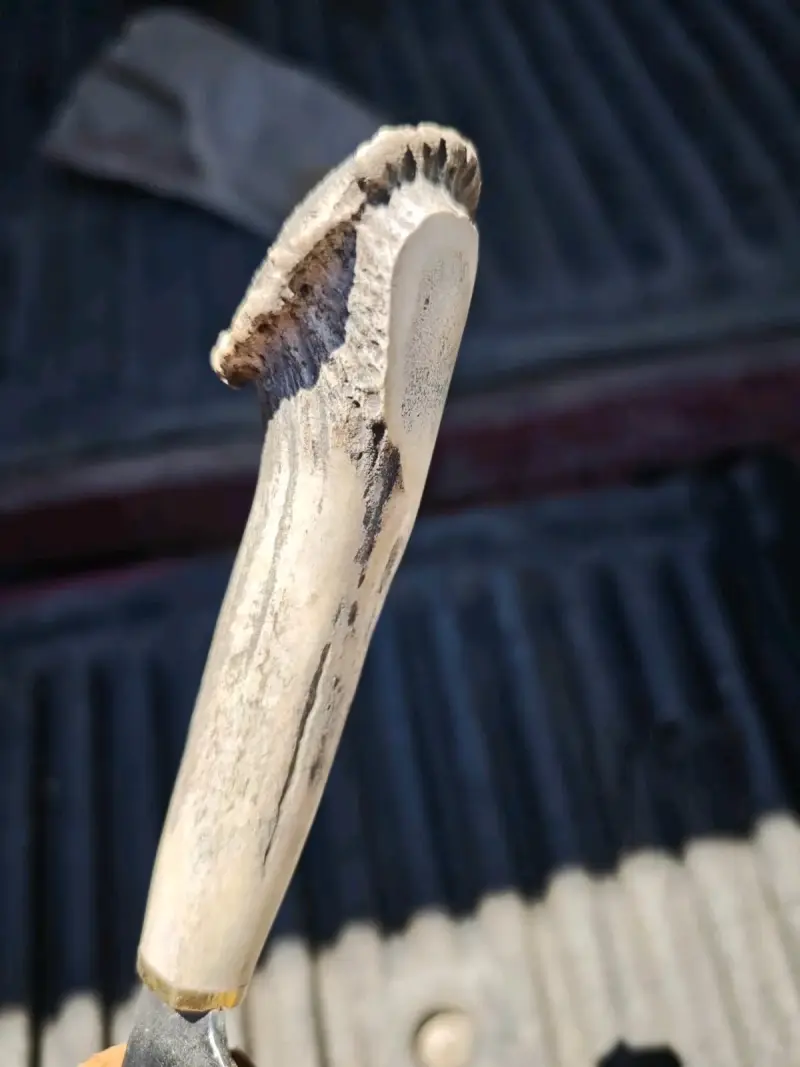 Cuchillos artesanales con mango de asta - 6