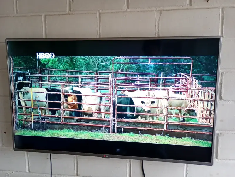 Televisor LG 50 pulgadas - 3