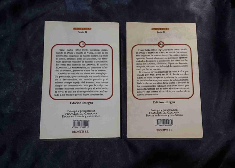 Libros de Franz Kafka "América" y "El proceso" - 2
