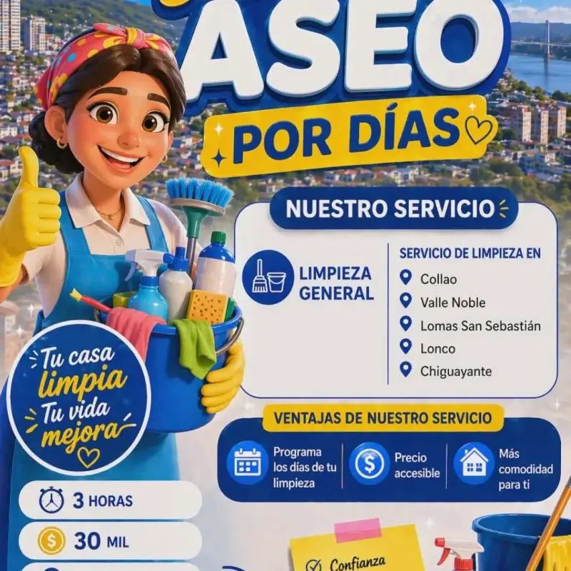 Servicio de limpieza en concepcion - 3