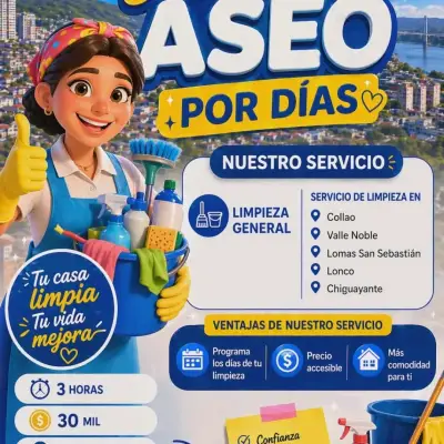 Servicio de limpieza  en concepcion - miniatura 3