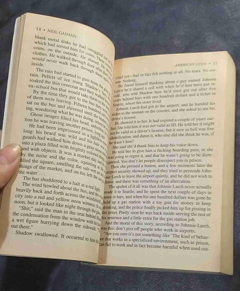 Libro American Gods de Neil Gaiman (inglés) - 4