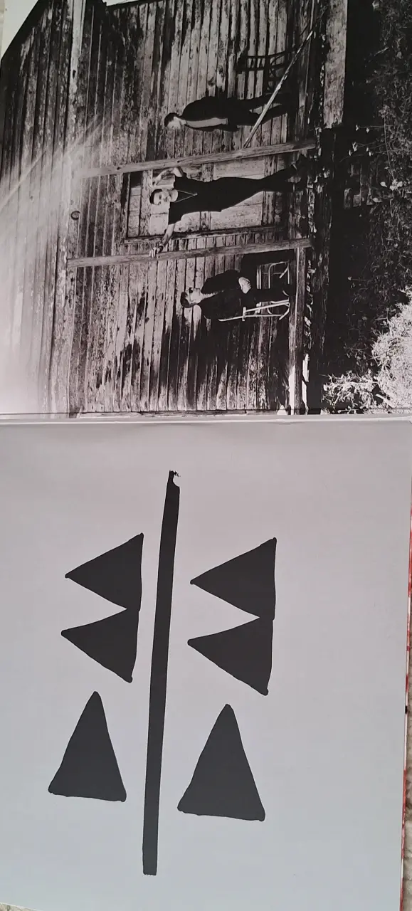Vinilo Depeche Mode - Delta Machine - 4
