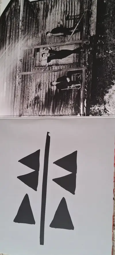 Vinilo Depeche Mode - Delta Machine - miniatura 4