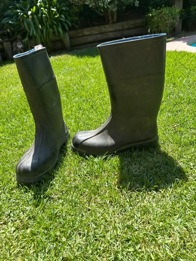 Botas de goma negras