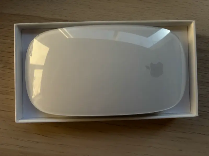 Magic Mouse - 2