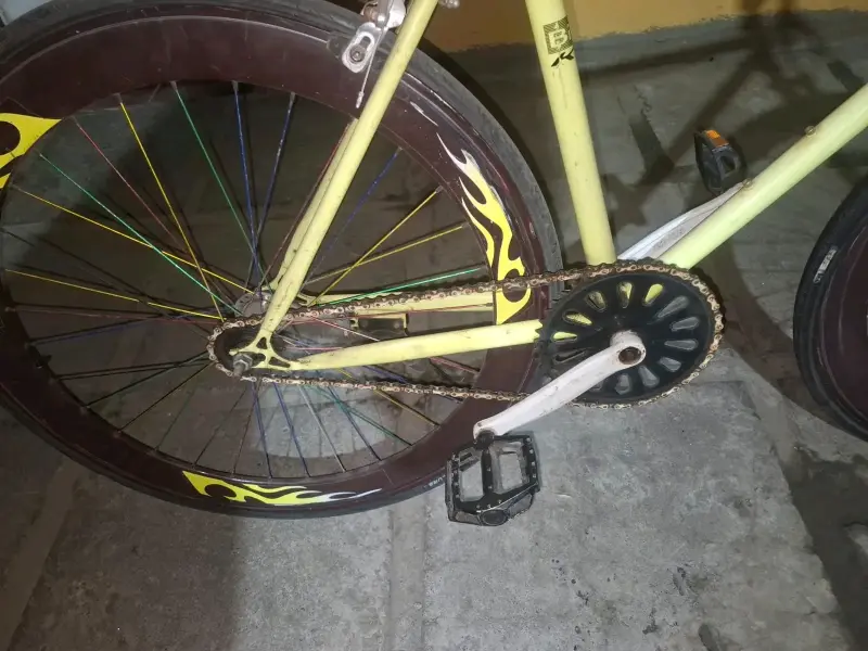 Bicicleta urbana - 5