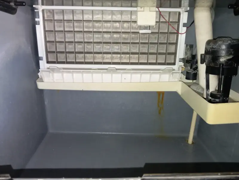 Máquina fabricadora de hielomaquina hielo - 2