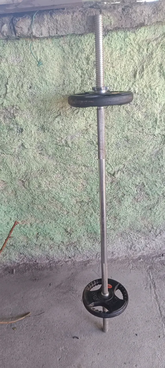 Barra de pesas con discos - 2