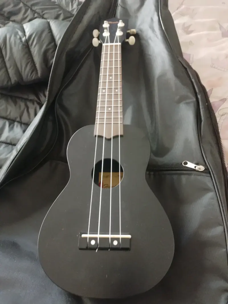 Ukulele negro con funda - 1