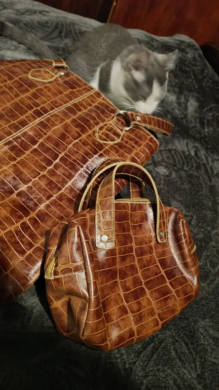 Juego de carteras textura cocodrilo
