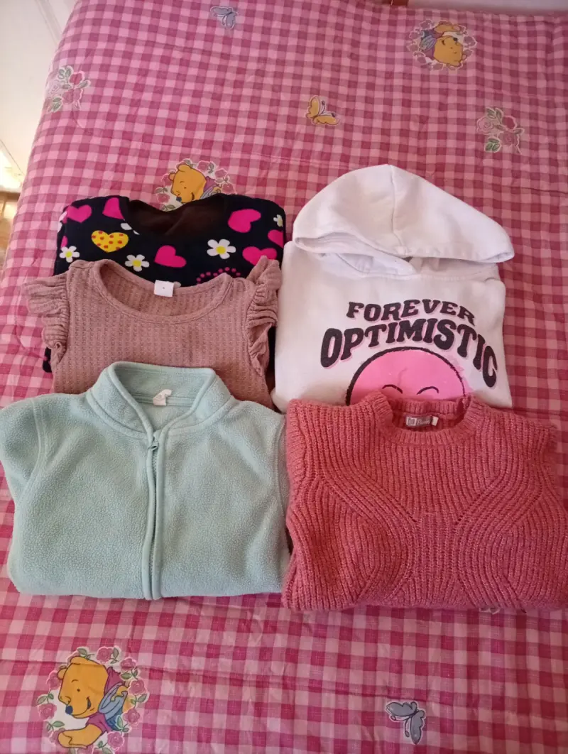 Lote de polerones y sweaters