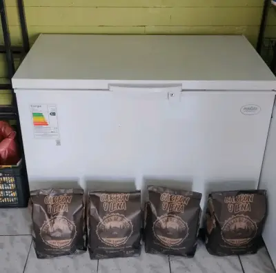 Congelador horizontal marca Maigas 300 litros - miniatura 1