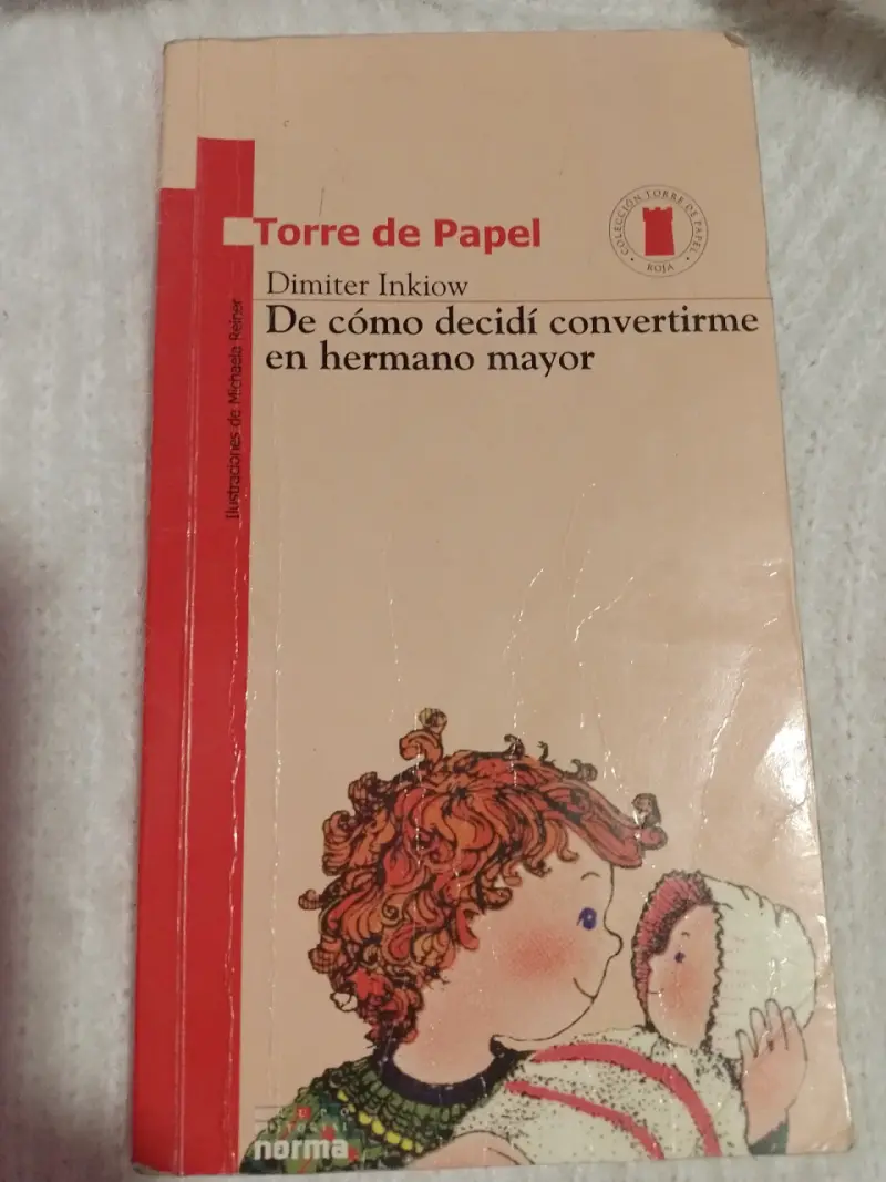 Libro 'De cómo decidí convertirme en hermano mayor' - 1