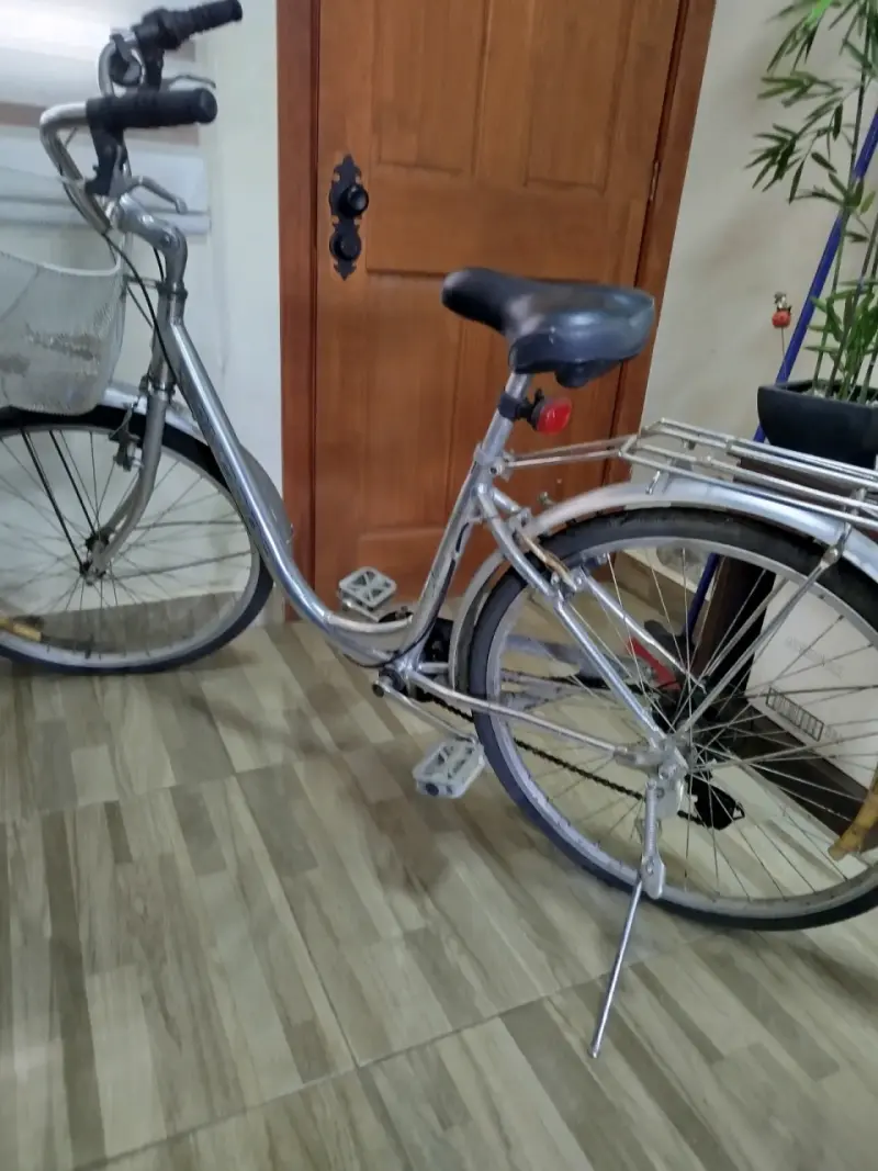 Bicicleta aluminio urbana gris con canasto - 2