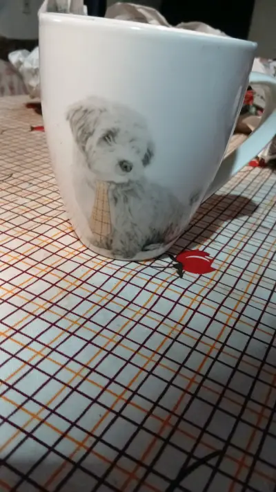 Tazón blanco con estrellas - miniatura 2