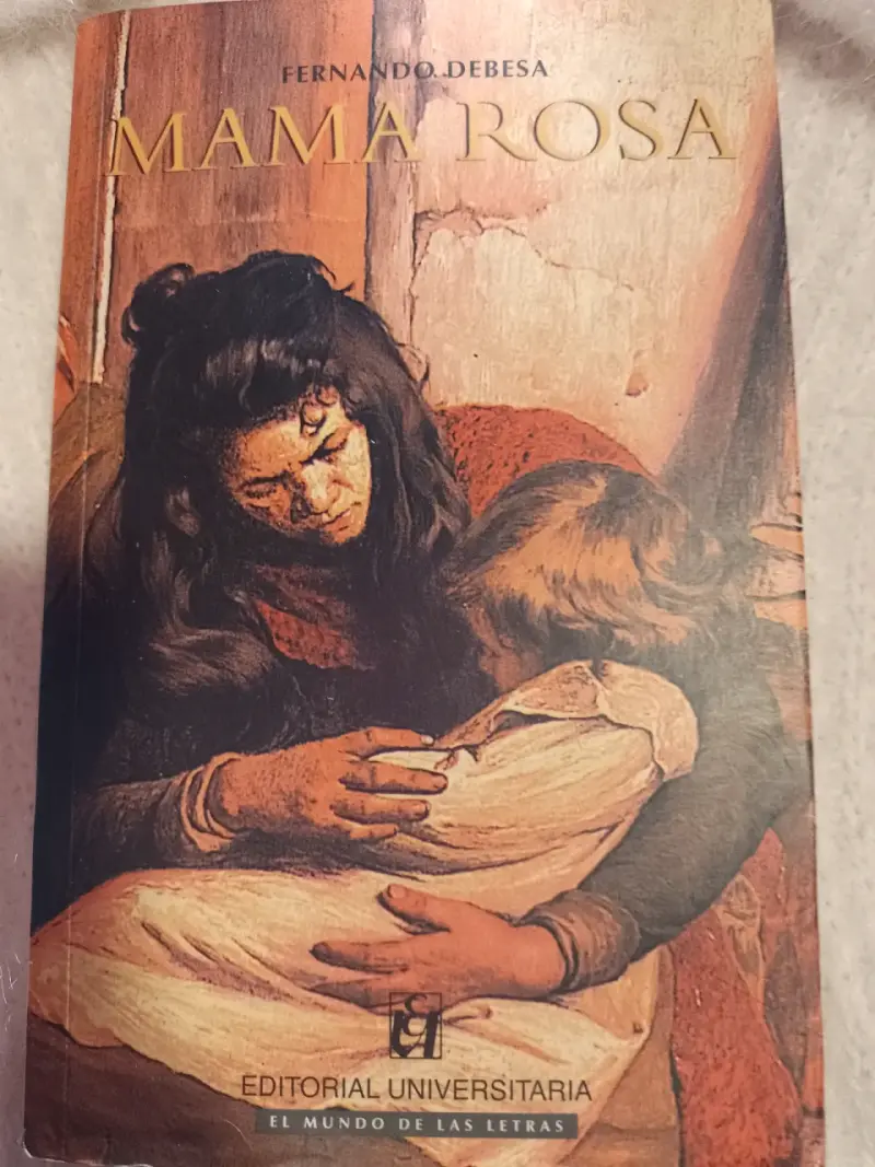 Libro 'Mamá Rosa' Fernando Debesa - 1
