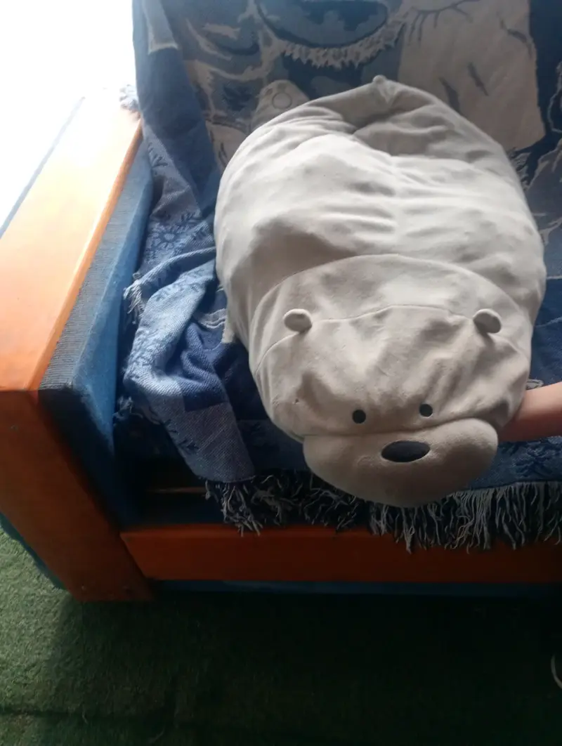 Cojín polar de peluche