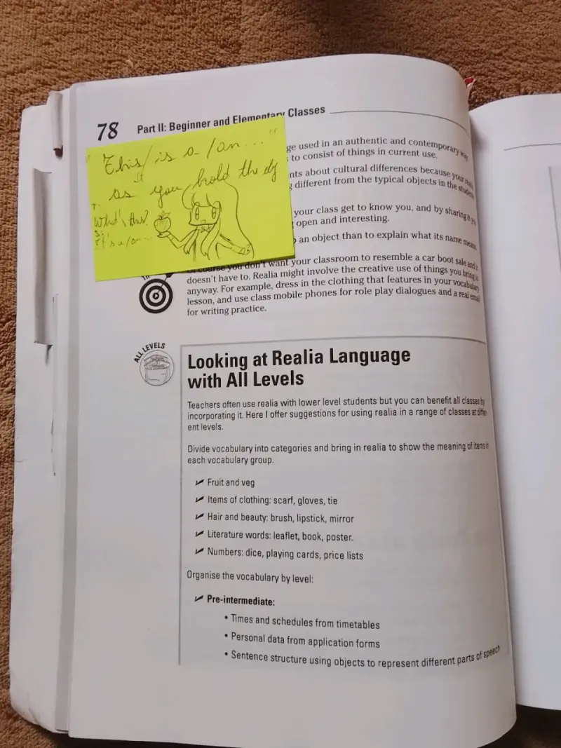 Libro TEFL Lesson Plans For Dummies - 5