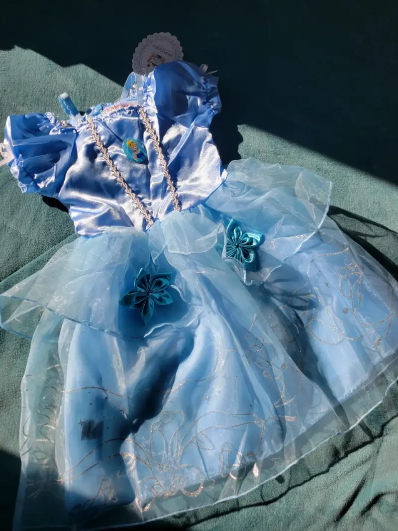 Disfraz de princesa cenicienta - 1