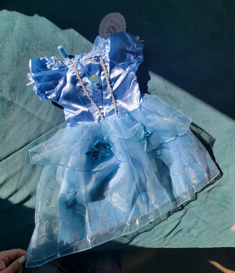 Disfraz de princesa cenicienta - 2