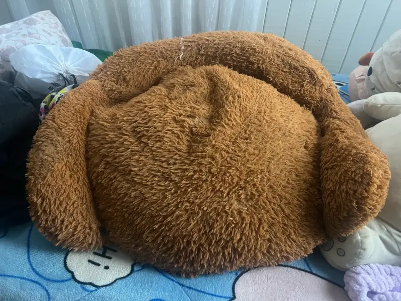 cama para mascotas reutilizada
