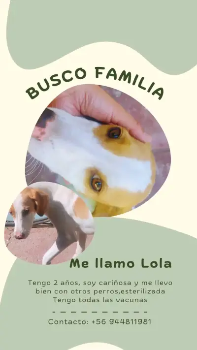 Adopta a Lola - miniatura 1