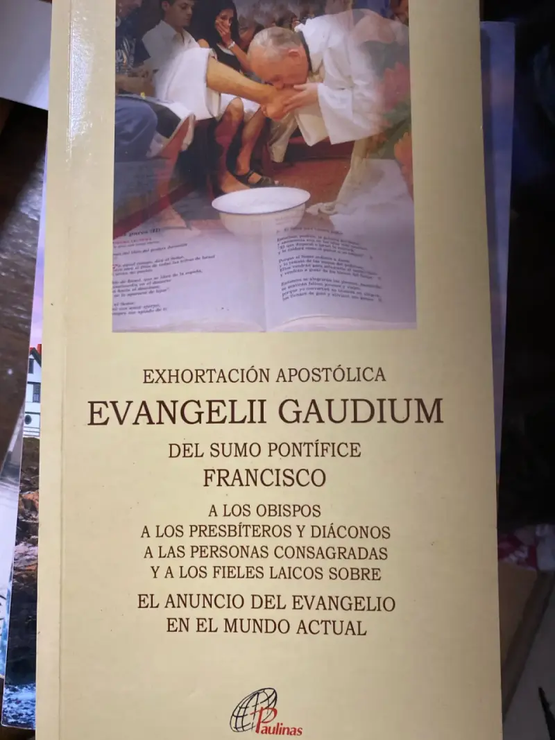 Libro Evangelii Gaudium - 1