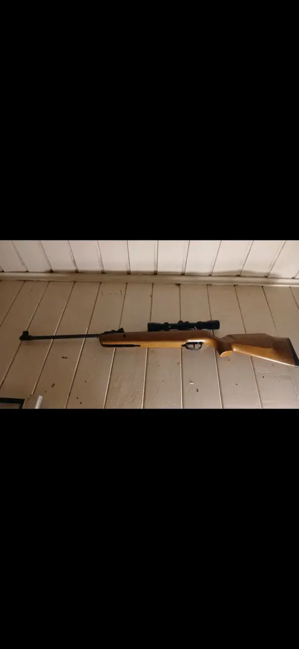 Rifle de aire comprimido bam xs-b19 4.5mm - 1
