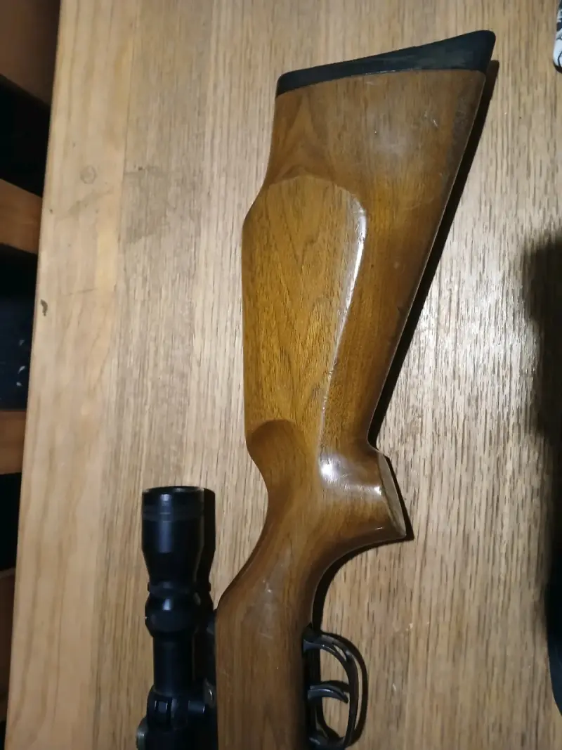 Rifle de aire comprimido bam xs-b19 4.5mm - 6