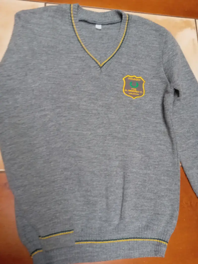 Chomba gris con escudo escolar - 1