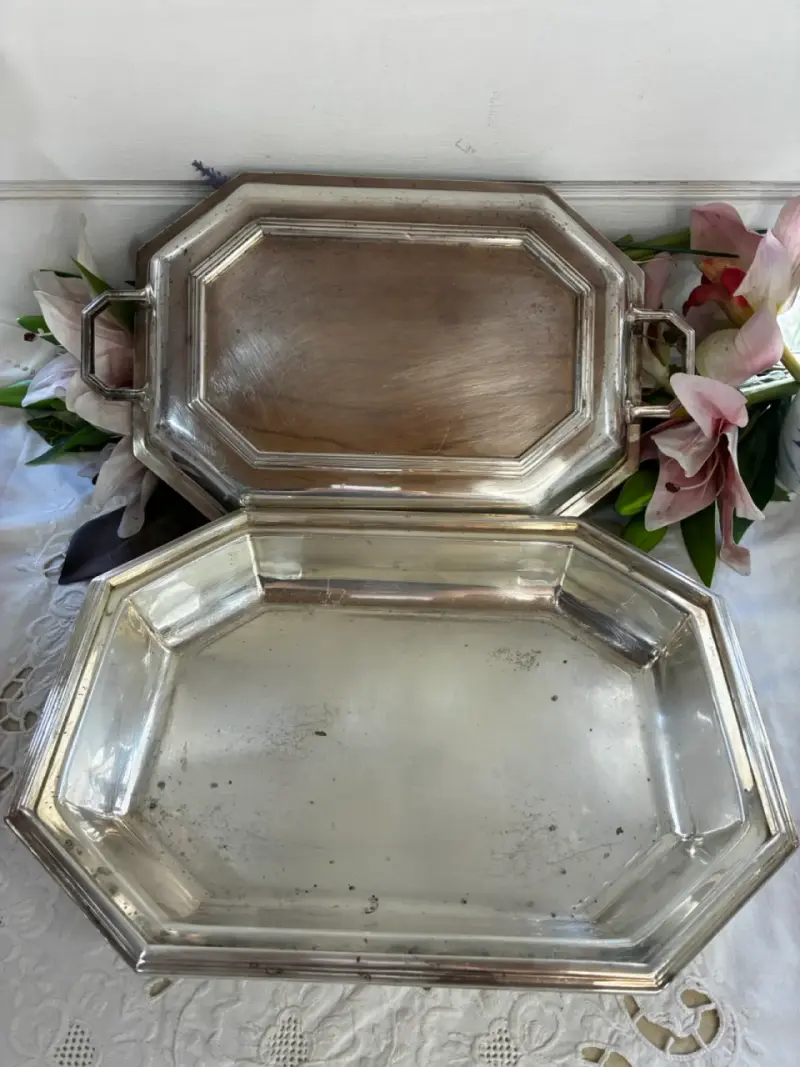Legumbrera bañada en plata - 3