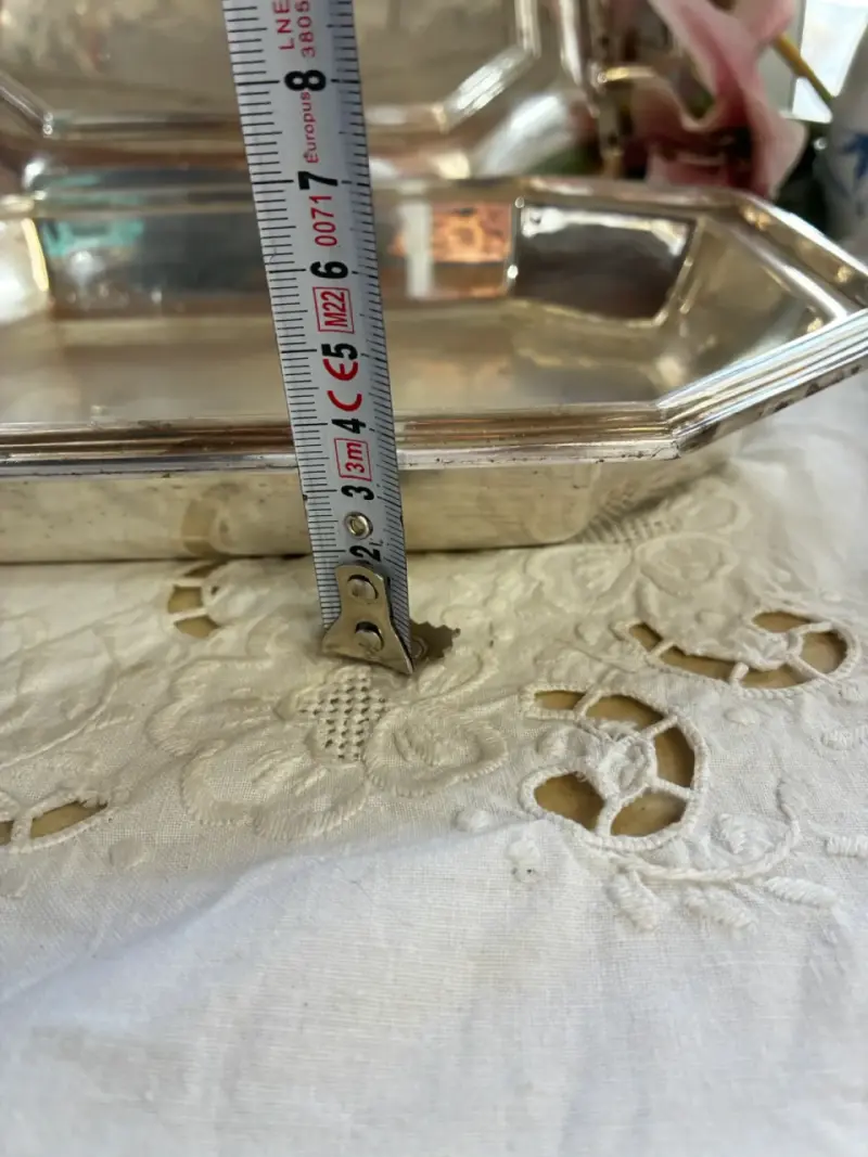 Legumbrera bañada en plata - 5