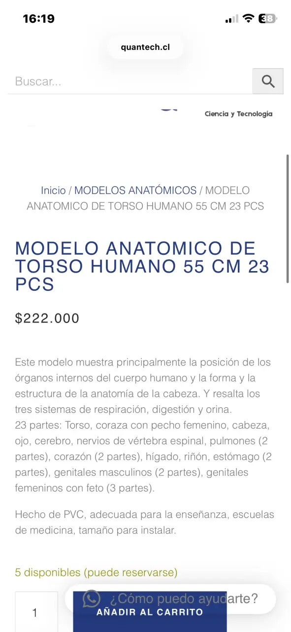 Modelo anatómico humano educativo - 6