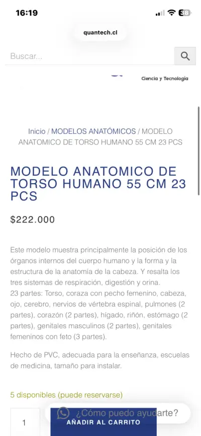 Modelo anatómico humano educativo - miniatura 6