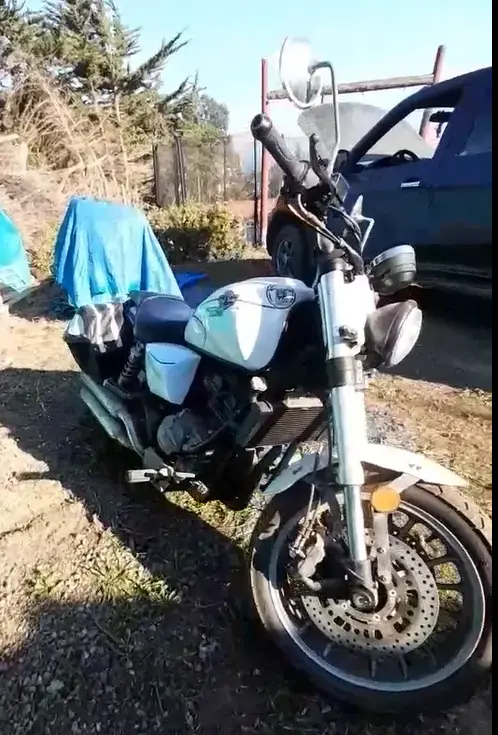 Custom 335 - año 2022 - 2