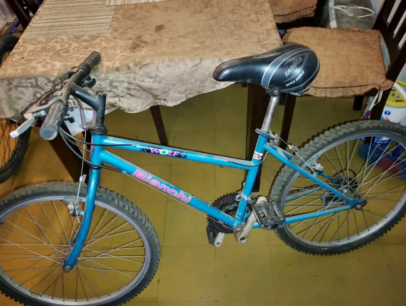 Bicicleta Bianchi Wolf azul - 2
