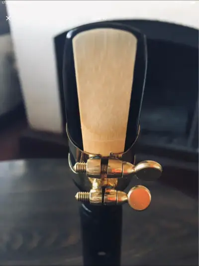 Mini Sax de bolsillo con accesorios - miniatura 6