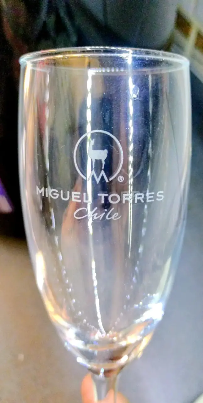 6 Copa de champaña Miguel Torres - 1