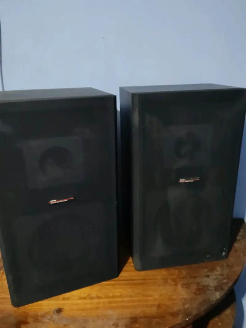 Parlantes negros para audio - 1