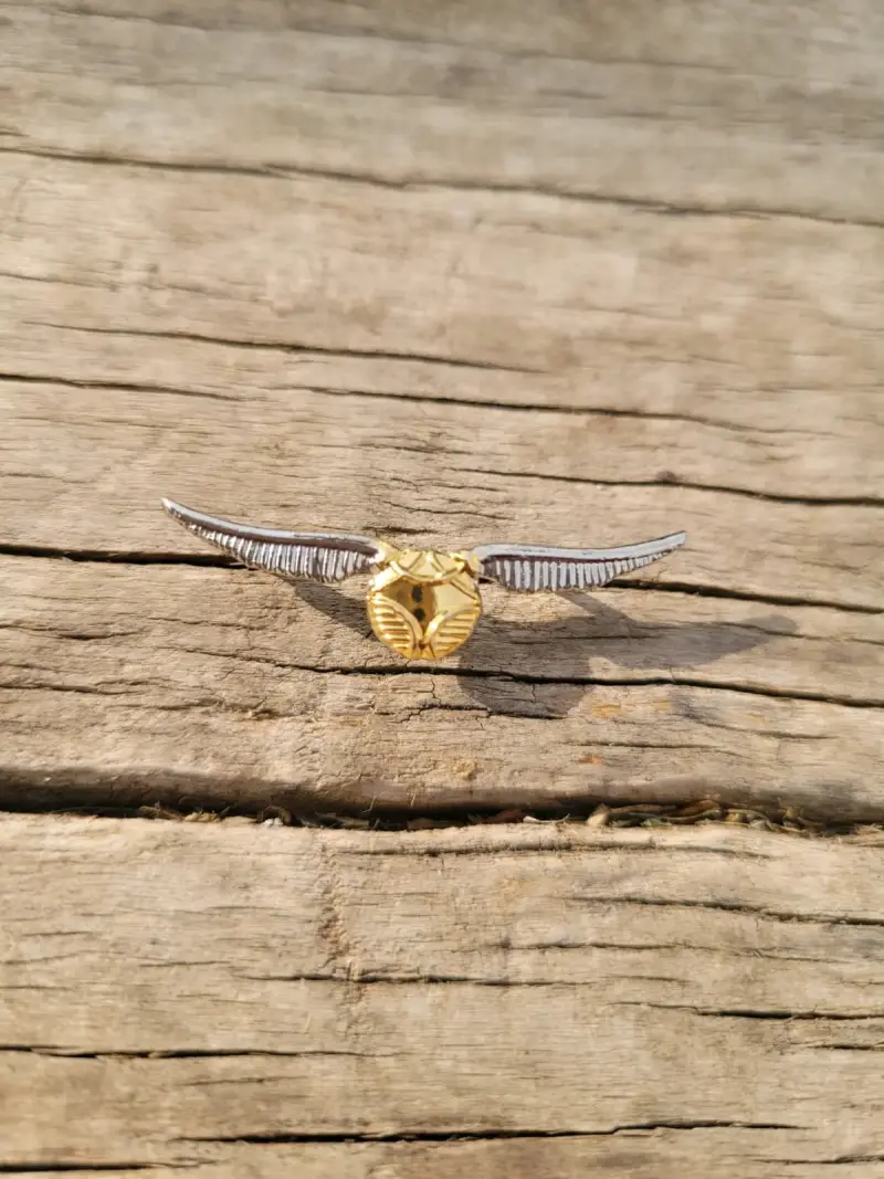 Pin Harry Potter - 2