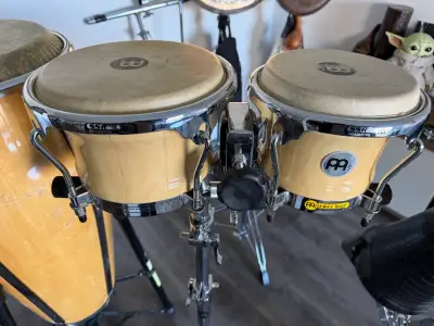 Bongo Meinl profesional + atril + funda!! - miniatura 1
