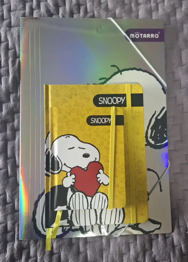 Set de cuadernos Snoopy - 2