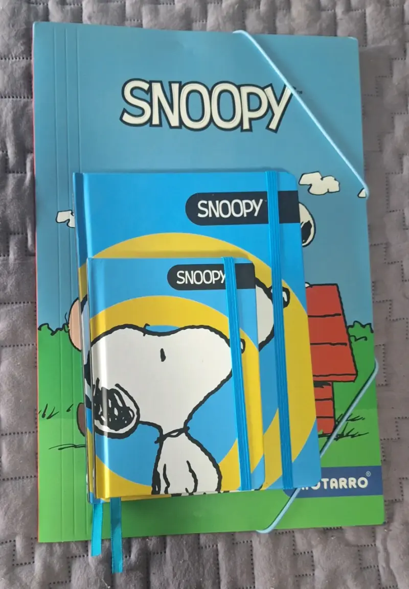 Set de cuadernos Snoopy - 4