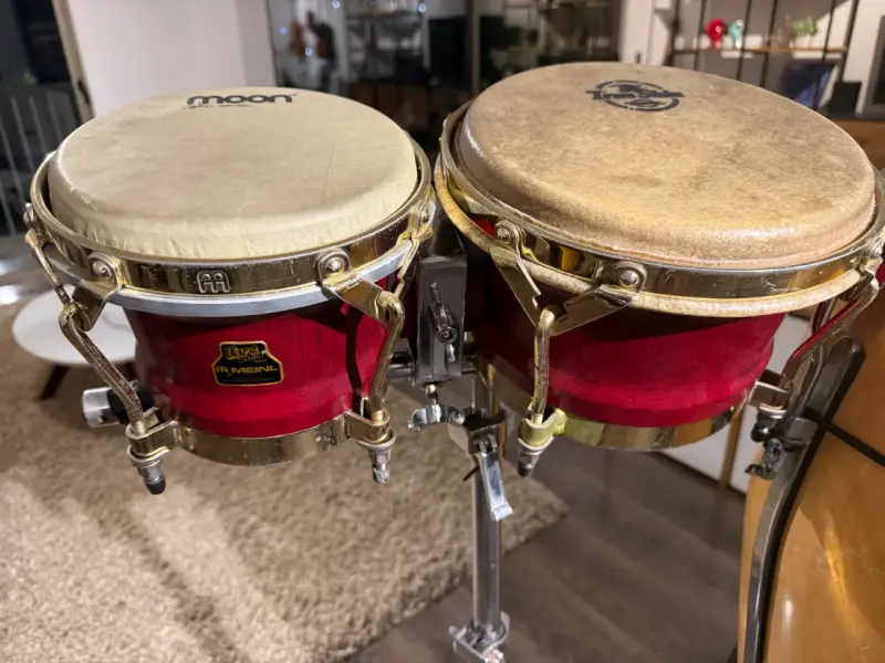 Bongo Meinl Live sound + atril, top de línea - 2