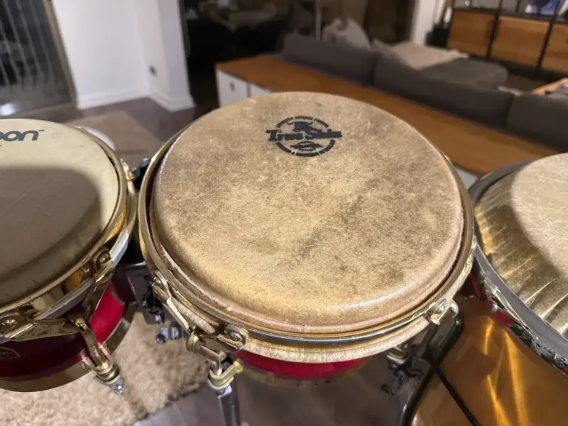 Bongo Meinl Live sound + atril, top de línea - 4