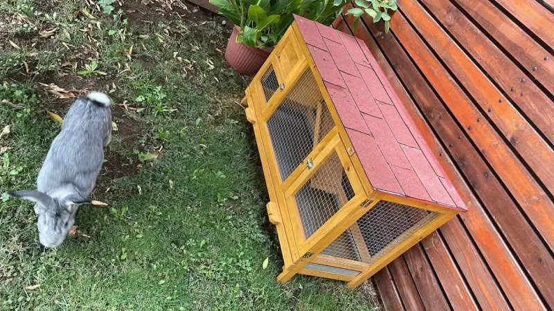 Jaula de madera para mascotas - 2